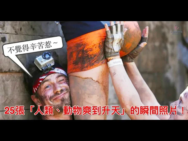 不覺得辛苦惹~25張「人類、動物爽到升天」的瞬間照片!